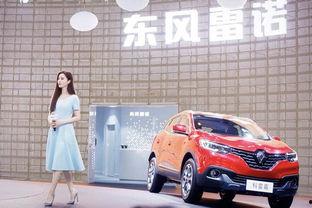 国产双飞,翱翔蓝天，共筑航空梦想