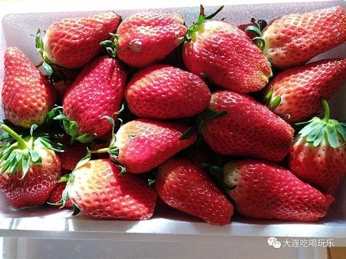 娱乐吃瓜君草莓,揭秘娱乐圈那些不为人知的幕后故事