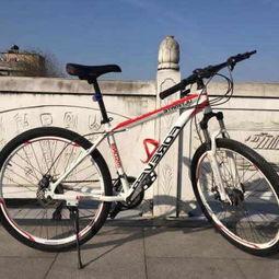 国产十大自行车品牌,十大领军品牌引领绿色出行潮流